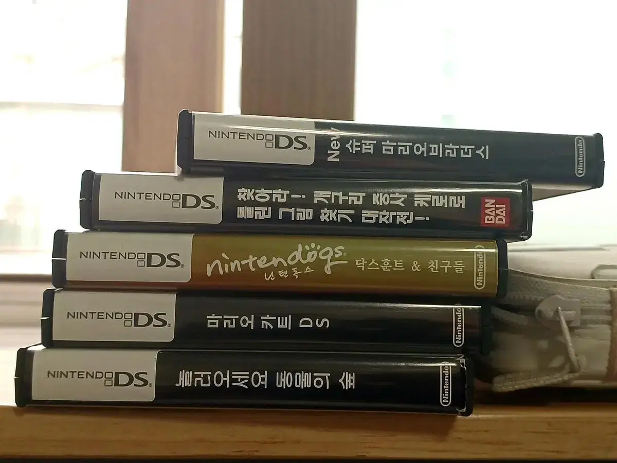 닌텐도 ds 칩